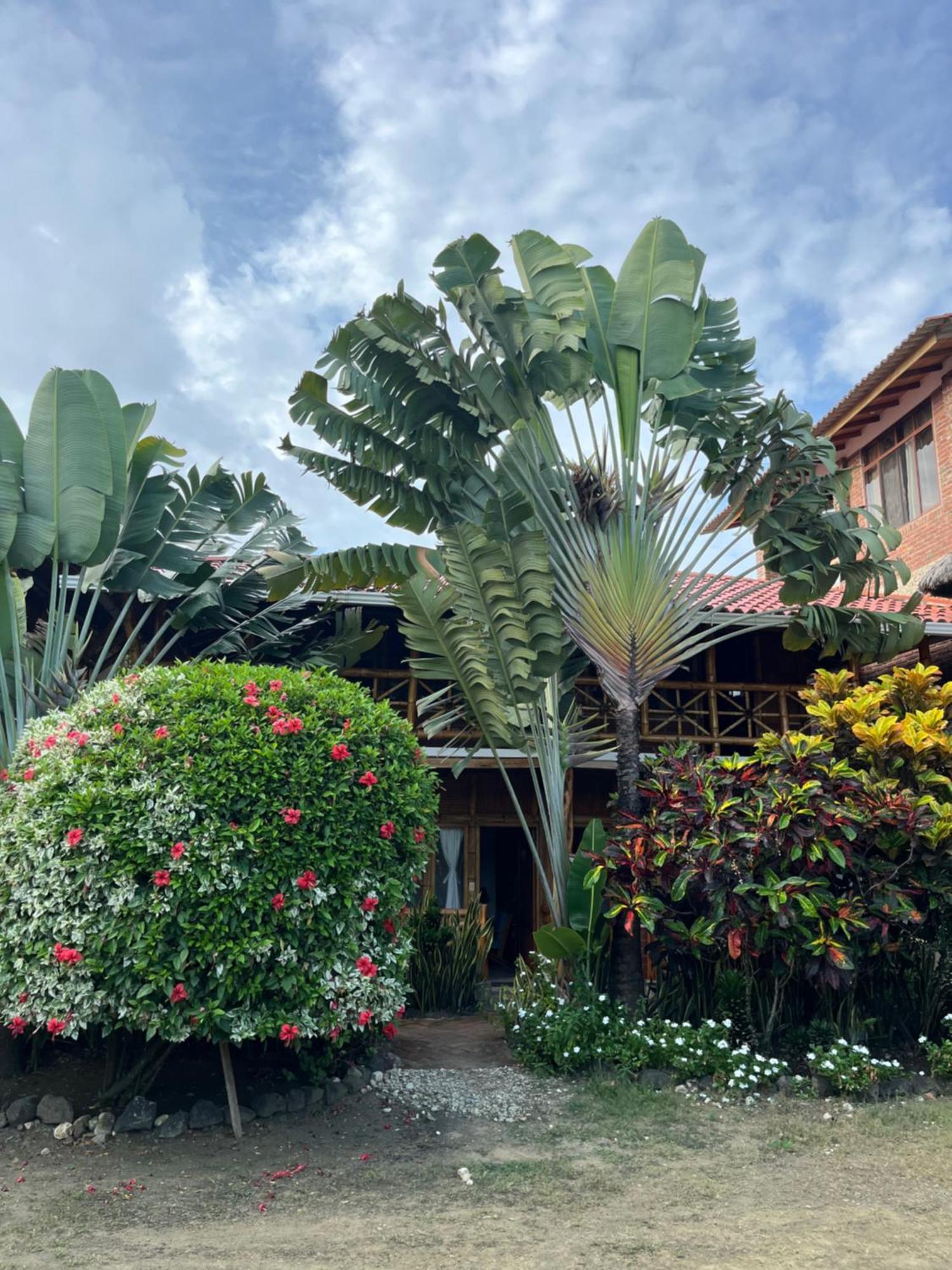 Victor Hugo Hotel Puerto Lopez Luaran gambar